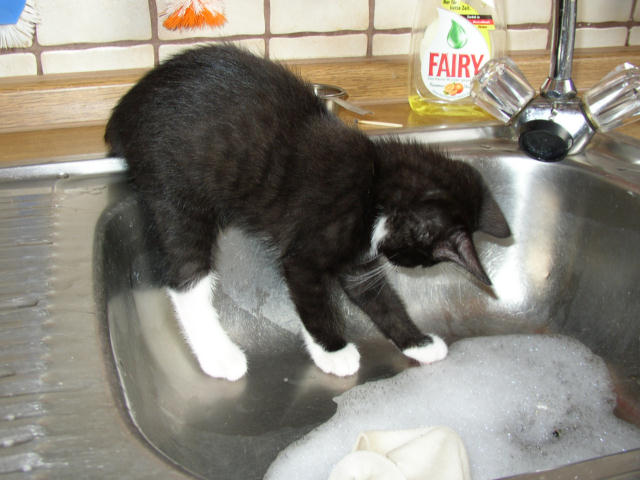 ../images/fotoalbum/2004-12-26_04