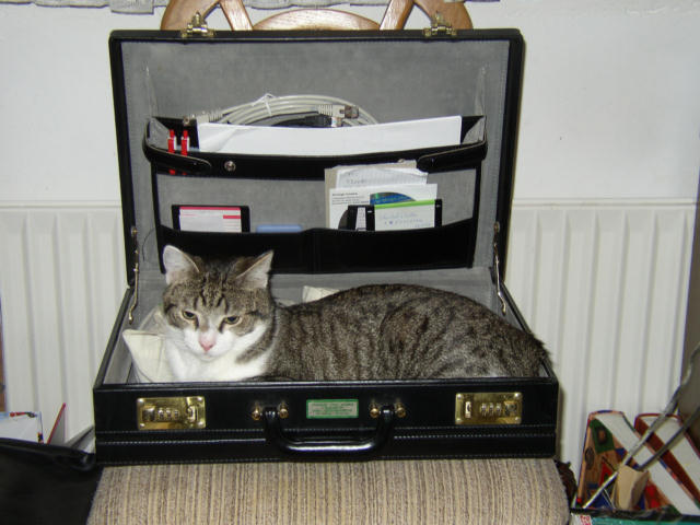 ../images/fotoalbum/katzen/2004-02-02_01