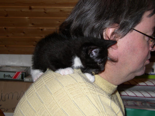../images/fotoalbum/katzen/2004-12-17_01