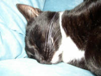 Jetzt muss ich erst mal &prime;ne Runde schlafen.